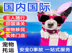 温州龙湾航空物流国际宠物托运 【国